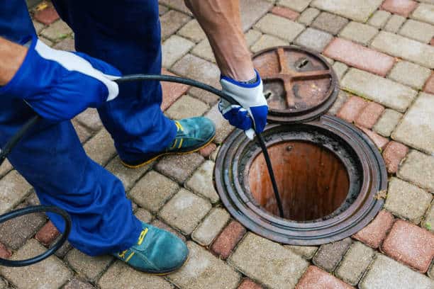 Empêcher les nuisibles d&rsquo;entrer dans vos drains.