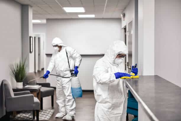 La désinfection après une infestation de rongeurs est-elle essentielle ?