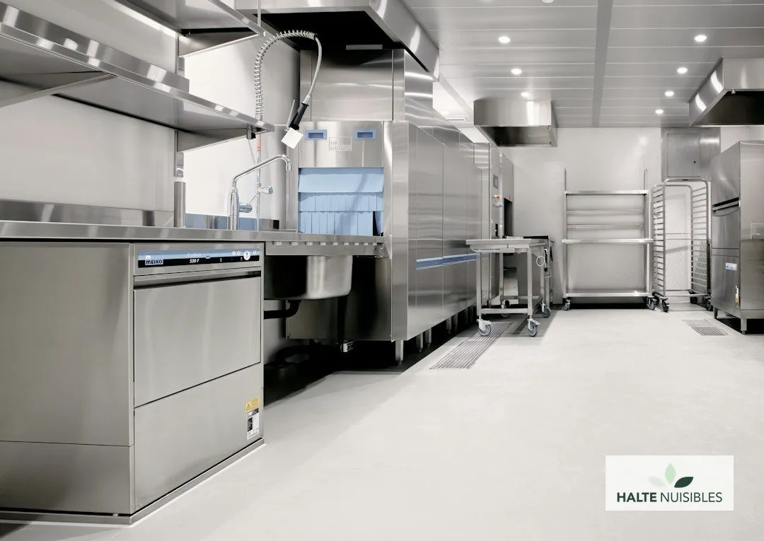 Plan de Maîtrise Sanitaire (PMS) restaurant : checklist DDPP 2026 + zones critiques