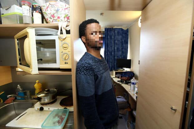 Impact des infestations de nuisibles sur la productivité des étudiants durant leurs études