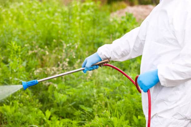 L&rsquo;approche essentielle pour vos problèmes de nuisibles.