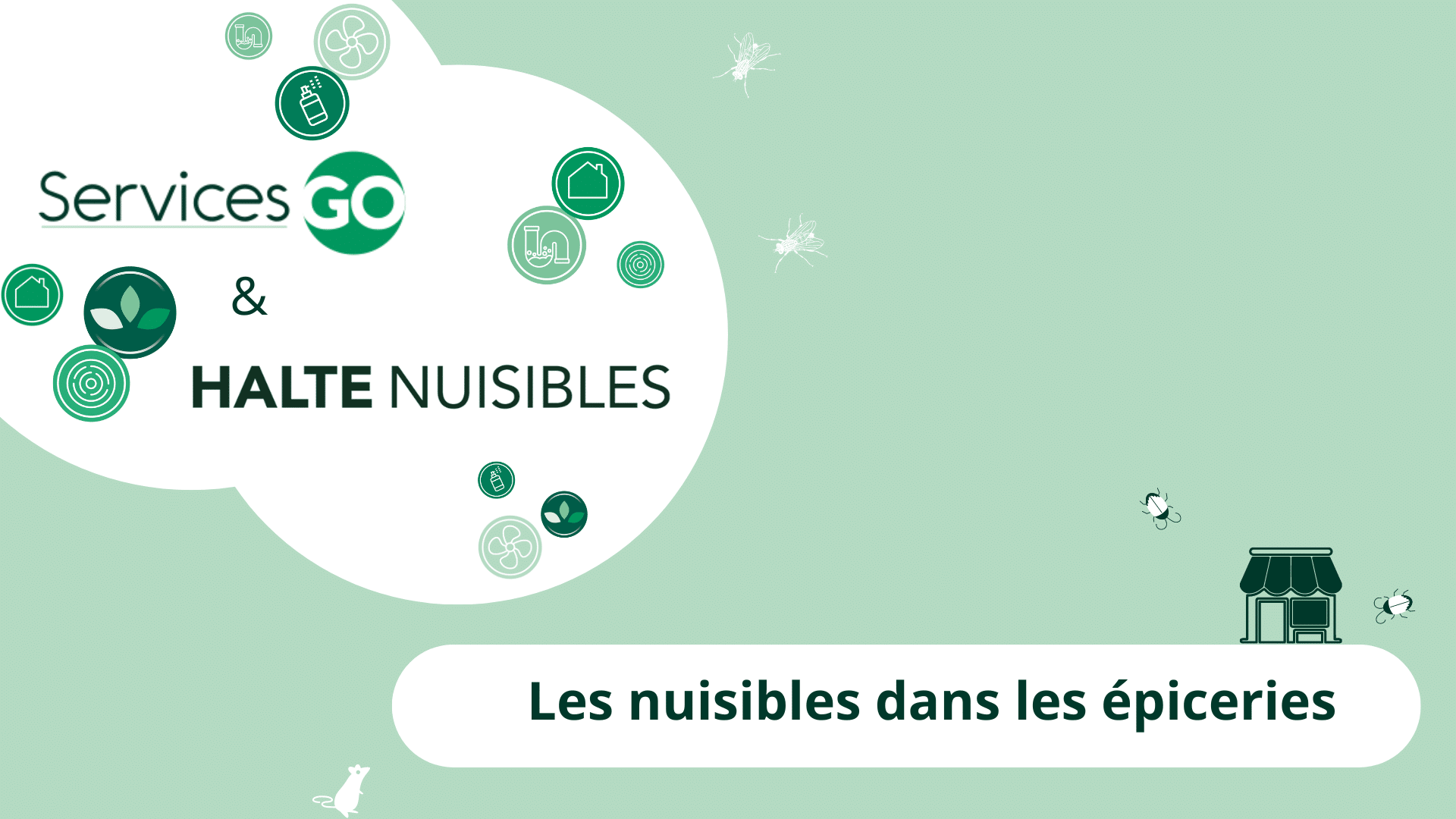 Les nuisibles dans les supérettes et les épiceries : les nuisibles à surveiller