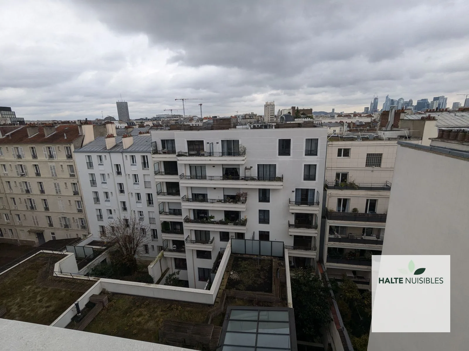 Immeuble parisien protégé contre les nuisibles par l'entreprise spécialisé dans le domaine HALTE NUISIBLES